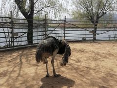 -羊亭河湿地公园