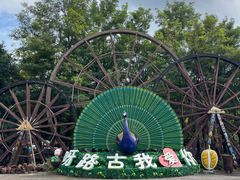 -呀路古热带植物园