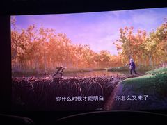 -寰映影城(朝阳合生汇杜比影院店)