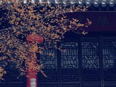 -灵谷景区
