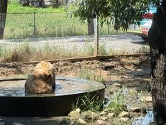 -秦皇岛野生动物园