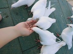 -卧龙湖