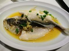 -正院大宅门烤鸭(首体店)
