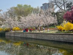 -元大都城垣遗址公园