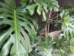 -阿伟海鲜楼·福建菜(涵江店)