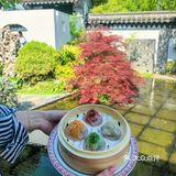  挖到宝️ 解放东路藏了座能吃的『江南园林』