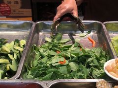 荆芥-杨记拉面总店