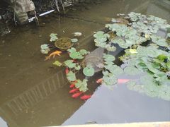 -天怡·鱼工厂(临江店)