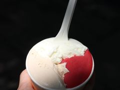 -Dip in Gelato(富民路店)