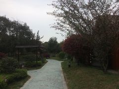 -咸宁万豪温泉谷度假区