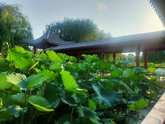 -云居湖