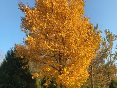 -中家鑫园温泉酒店鑫悦汤泉