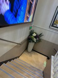 -紫洁俪方（北京）医疗美容