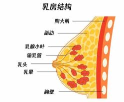-蓓爱娇琪月子会所(虹口店)
