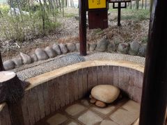 -咸宁太乙国际温泉度假村