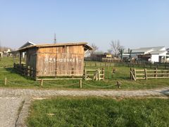 -田园东方蜜桃村的田野营地