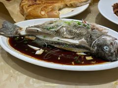 -西兰轩清真菜馆(北顺城街店)