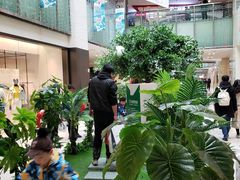 -鹏欣水游城