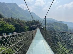 -梦幻奥陶纪景区