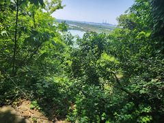 -焦山景区-万佛塔