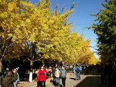-辽宁大学(崇山校区)