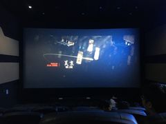 -金逸影城(光美江宁IMAX店)