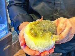 -肆月河豚·淮扬菜·湘菜(华天店)