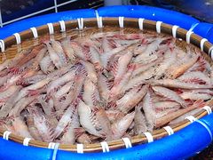 -宁海食府·涌宴(真和店)
