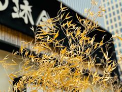 -树下时尚餐厅(翠园街店)