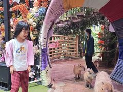 -正佳雨林生态植物园