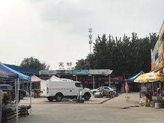 -中环花鸟鱼虫市场