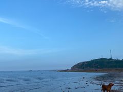 -仙人岛风景区