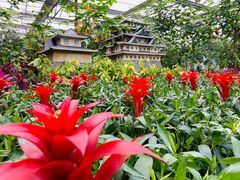 -南宫五洲植物乐园