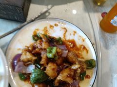 -邵年鸽(杨庄店)
