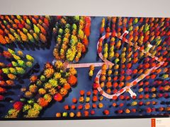 -江苏省美术馆(长江路新馆)