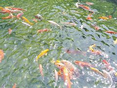 -太子园林酒家