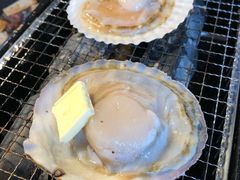扇贝-秋葉原ホルモン おいで屋