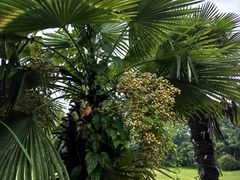 -河南省黄河迎宾馆