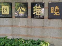 -晓港公园