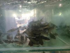 -宋记冕宁土菜馆(海门渔村二店)