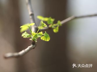 岁月安好，温暖常在……