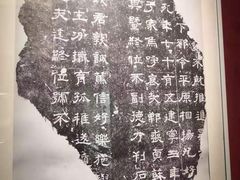 -包头博物馆