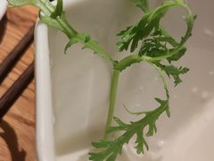 -额尔敦传统涮(光明路店)