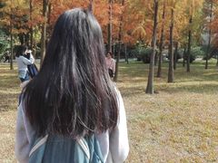 -晓港公园