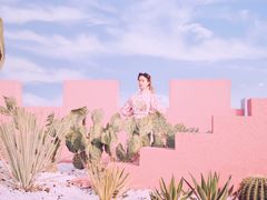 -漳州滨海火山岛自然生态风景区