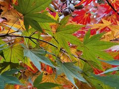 -青岛崂山太清宫