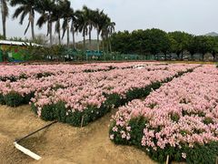 -盈香心动乐园