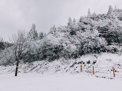 -南天湖景区