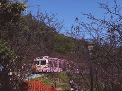 -小南山公园