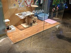 -约网咖(西塔店)
